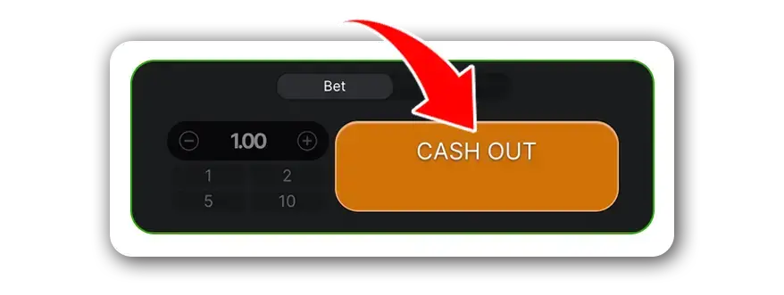 Cash Out Button Aviator India